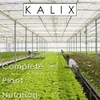 KALIX Nitrogen 15-0-0 | Water-Soluble Nitrogen Fertilizer | Promotes Vigorous