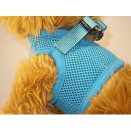 Snazzi Pet Puppy Teacup Dog Harness Soft Mesh Comfy Step in Dog Vest Harness No Pull Adjustable Tiny XS Small Med Dogs 2-25 lbs Teacup Mini Toy Puppy (Sky Blue, LG 16"-17.5" 9-12 lbs)