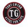 New 4' Tony Gwynn Padres-Aztec Memorial Iron on Patch Free Ship