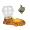 iplusmile Reptile Water Bottle - Turtle Water Bowl, Feeding Bowl