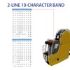 BIZXDEV 2 Line Price Gun,10 Digit 2 Line Price Label