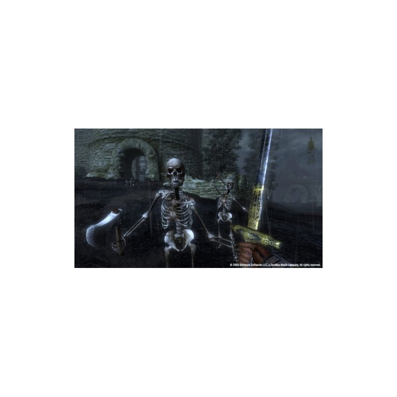 The Elder Scrolls IV: Oblivion - Game of the Year