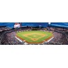 MasterPieces 1000 Piece Sports Jigsaw Puzzle - MLB Philadelphia Phillies