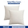 MIULEE Pack of 2 Velvet Pillow Covers Decorative Square Pillowcase