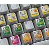 TRIMBLE SKETCHUP KEYBOARD STICKERS SHORTCUT