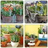 Kizaten Gardena Irrigation System for Potted Plants, Irrigation System Balcony