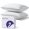 SANSWAN Luxury Goose Feathers Down Pillows Queen Size Set of