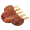 Sandalwood Meridian Comb Nose Massager Rosewood Scalp Massage Comb Set