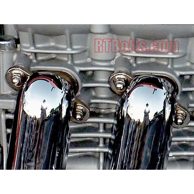 RT Bolts (15) Acorn Cap Nuts 1/4"-20 Safety, Show, Dome,