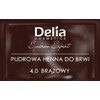 Delia Cosmetics - Powder Eyebrow Tint - LIGHT BROWN -