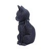 Nemesis Now B5149R0 Malpuss Winged Occult Cat Figurine, Polyresin, Black