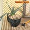 Tinyunicorn 5lb Mixed Sand Rocks Pebbles Pumice Potting Soil Amendment