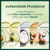 Garnier Nutrisse Dauerhafte Pflege-Haarfarbe mit nährenden Fruchtölen, Coloration mit 8