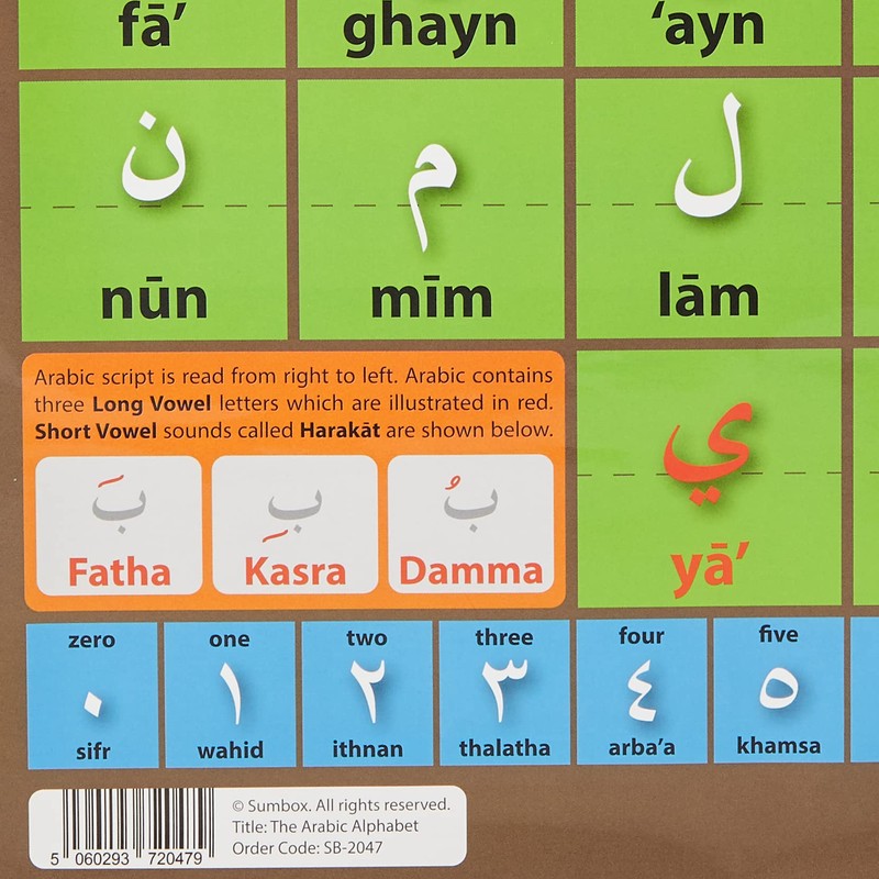 Sumbox Arabic Alphabet Educational Language Poster, 2047, Kids Room