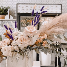 Phliofd 480Pcs Bunny Tails Dried Flowers, Natural Dried Bunny Tails Grass Dried Lagurus Ovatus Rabbit Tail Grass for Flowers Arrangements DIY Craft Wedding Party Home Table Decor (Purple)