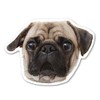 Magnet America Pug Dog Magnet is 4.875" x 3.625" Made
