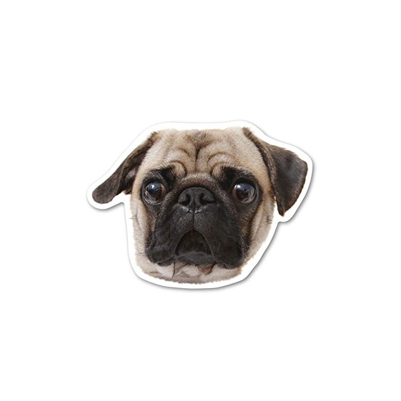 Magnet America Pug Dog Magnet is 4.875" x 3.625" Made