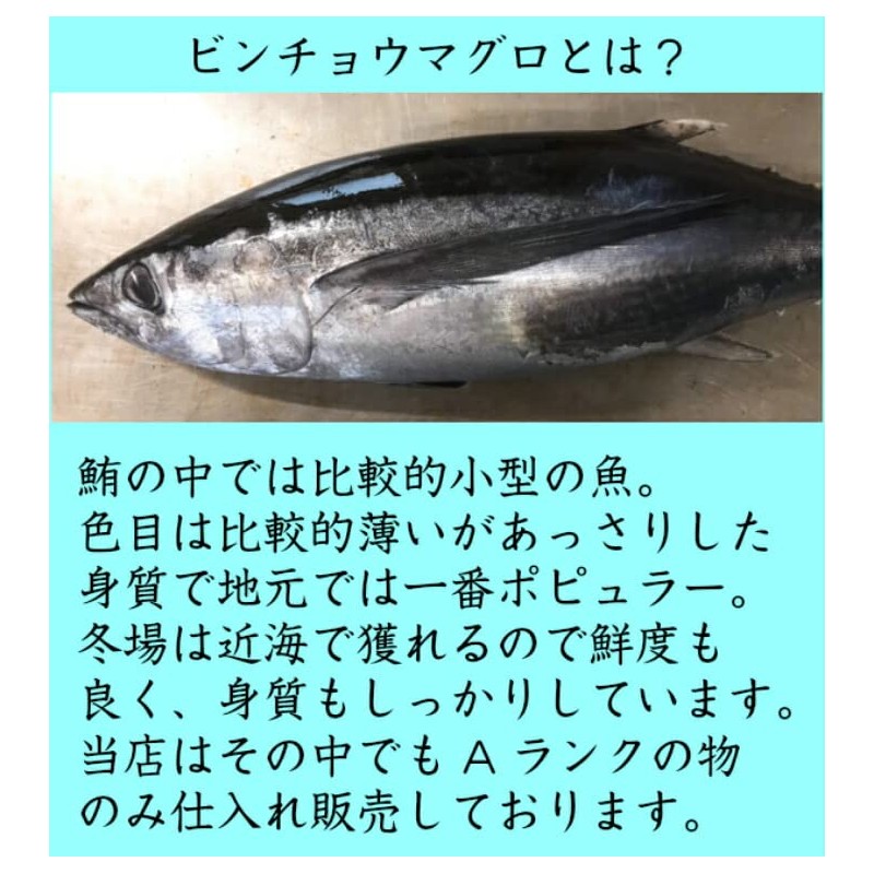 (Mizutani Suisani) Bincho Tuna, Tuna, Sashimi from Kiikatsuura (Block)