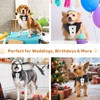 Dog Tuxedo Adjustable Dog Bow Tie Wedding Outfit, for Medium