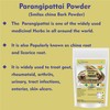 neotea Parangipattai Chobchini Bark Smilax China China Root chobchini Powder