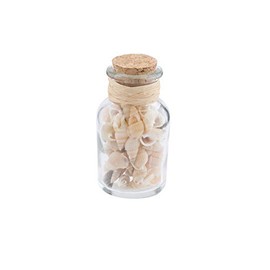 Beachcombers Bottle with Natural Shells Multi