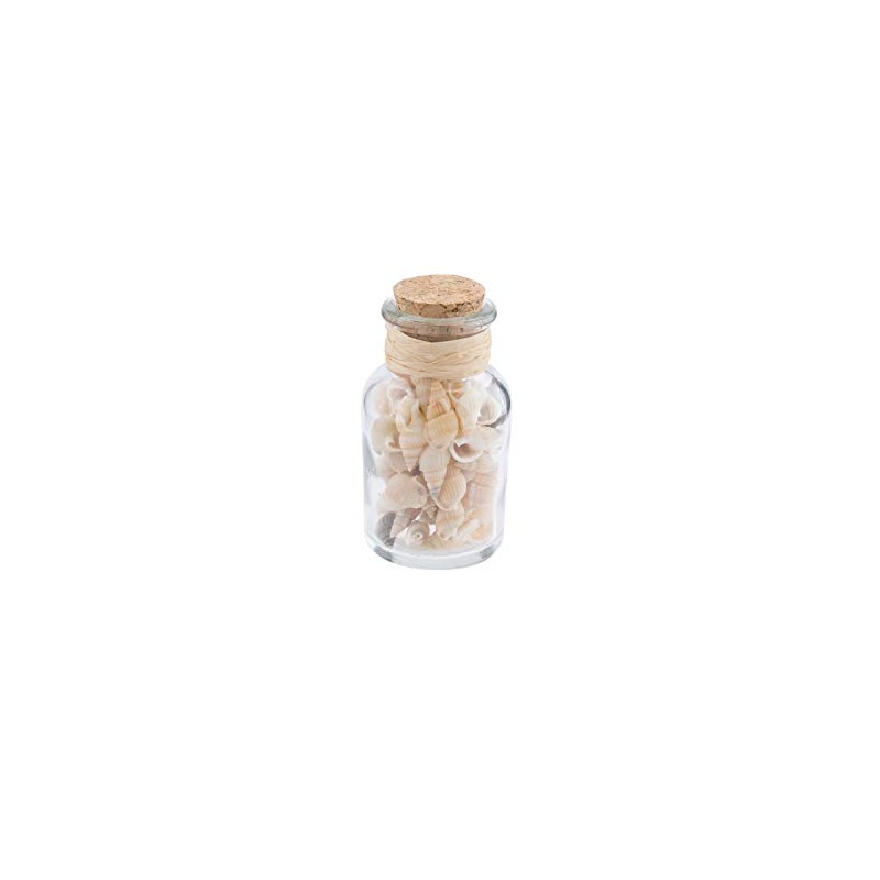 Beachcombers Bottle with Natural Shells Multi