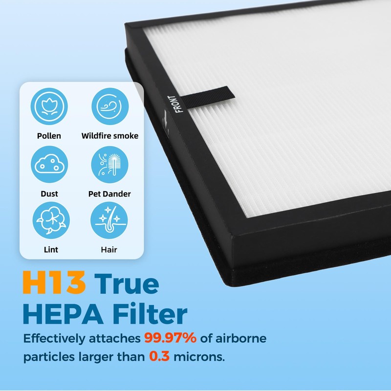Scienraise 1 Pack HAP603 Replacement Filter Compatible with ECOSELF HAP603