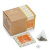Octavius Enveloped Kashmiri Kahwa Green Teabags | Aromatic Detoxing &