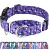 Fidohug Reflective Martingale Collar for Dogs with Quick Release Buckle