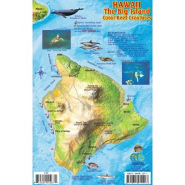 Franko Maps Hawaii Reef Creatures Fish ID for Scuba Divers and Snorkelers