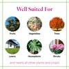 Grow More All-Season's Plant Food (20-20-20 Fertilizer) - 1.5lbs of