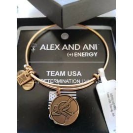 Alex and Ani Retired Alex & Ani Team USA Skiing Tone Bracelet New w Tags Card & Box