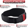 Weight Lifting Belt (Large)