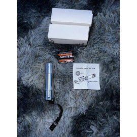 Kobalt 2-pack 100-Lumen LED Flashlight