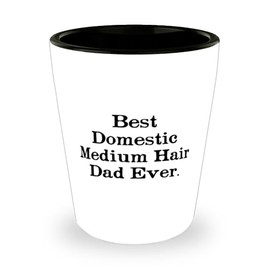Special Domestic Medium Hair Cat Shot Glass, Best Domestic Medium Hair Dad Ever, Present For Friends, Cute Gifts From Friends, Domestic medium hair cat birthday present, Domestic medium hair cat
