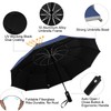 Satol Golf Umbrella XXL (62 Inches) - Automatic Umbrella with