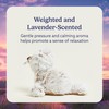 warmies Microwavable & Weighted Stuffed Animal, Seal - Heated Stuffed