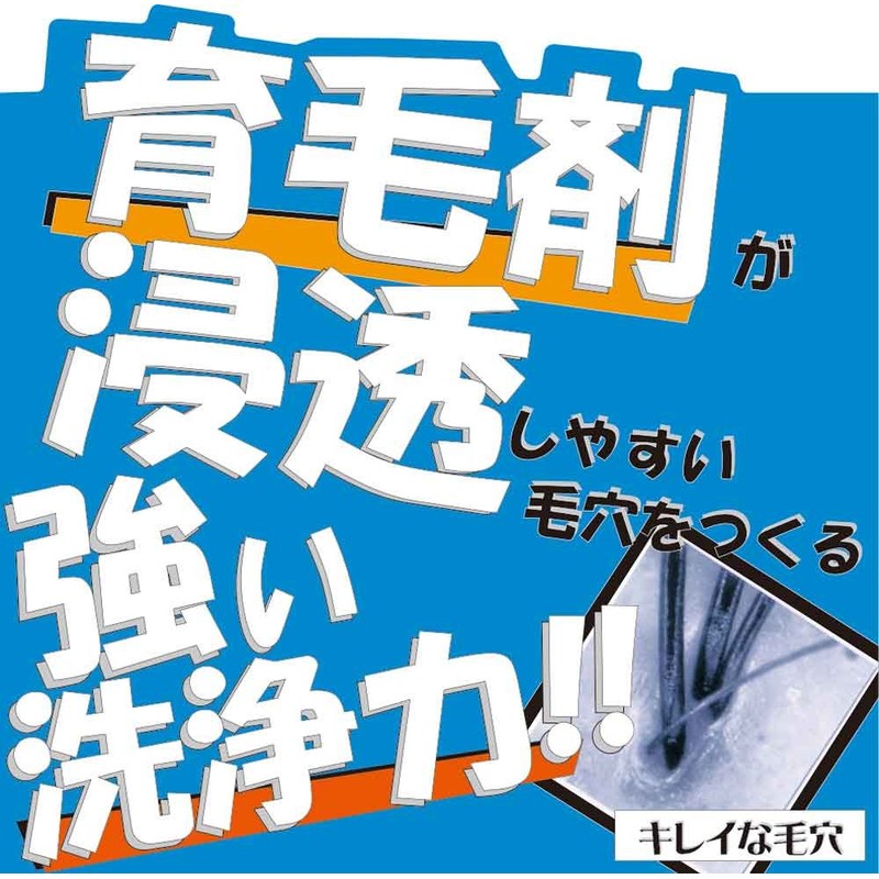 加美乃素 薬用シャンプー B&P 300mL 【医薬部外品】