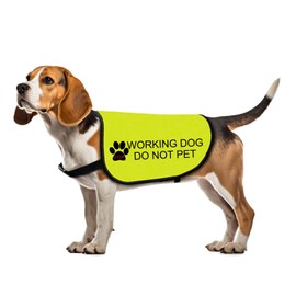 Working Dog Jacket - Do Not Pet Slogan Warning - Walking Dog Vest (Medium)