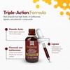 Red Bee Propolis Extract,100% Pure Extract Bee Propolis Tincture, High