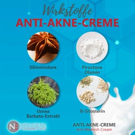 Nezeni Gesichtscreme mit Shikiminsäure - 200 ml | 11 Wirkstoffe | Anti-Akne | Vegan | Für fettige und Akne Haut | Niedriger Konservierungsstoffgehalt
