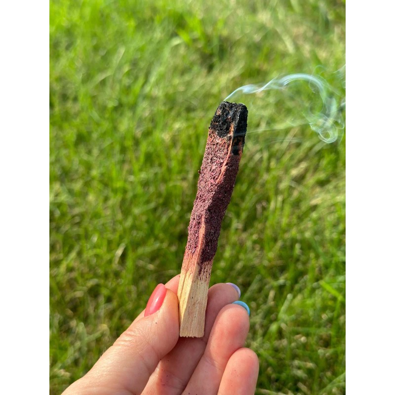 Dragon's Blood Dipped Palo Santo Stick by New Moon Beginnings