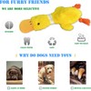 AIMETING No Stuffing Squeaky Dog Toys, Tough Dog Chew Toys,