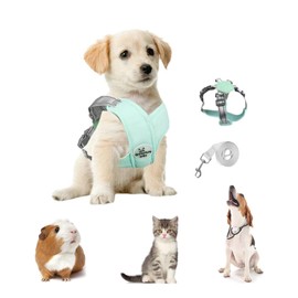 Zequech Light Green Traction Rope, For Small And Medium-Sized Dogs, Adjustable Shoulder Strap, Breathable Soft Mesh Pad, Night Reflection, Buckle To Prevent Burst, Outdoor Walking Training S M L (M)