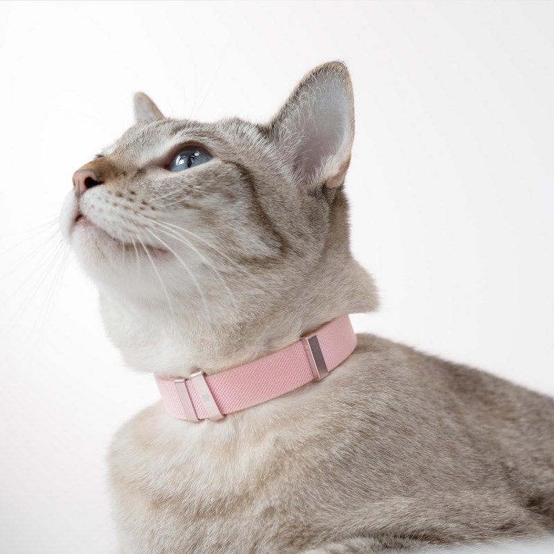 BuddyArmor Safety Cat Collar - U.S. IDA Gold Awarding Design,