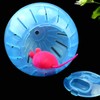 RoadLoo Hamster Ball, 2Pcs Hamster Exercise Wheel Mini Jogging Running