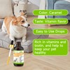 Collagen for Dogs - Liquid Collagen for Dogs - Dog