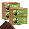 Riare 8pcs Organic Coco Coir Bricks Soil Blocks- 100% Natural