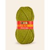Sirdar Hayfield Fern Green Bonus Yarn - 100g Chunky