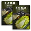 Survival Garden Seeds - Michihili Napa/Nappa Cabbage Seed for Planting
